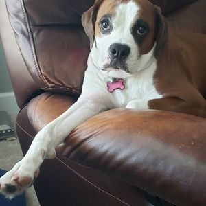 Meet your Posher, Mandy